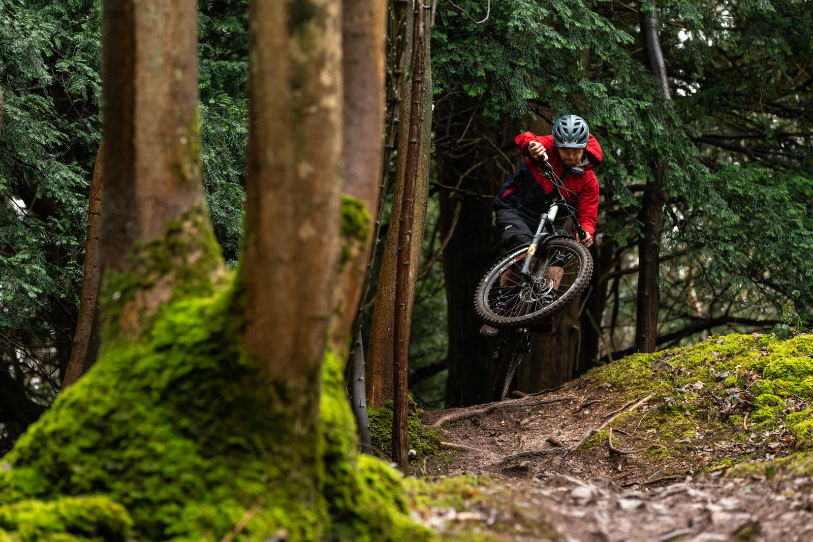 Starling Cycles - beautifully simple steel mountain bikes